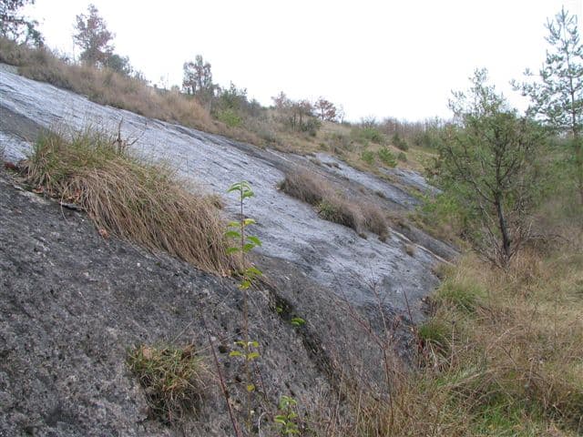 Plateau d'Argentine