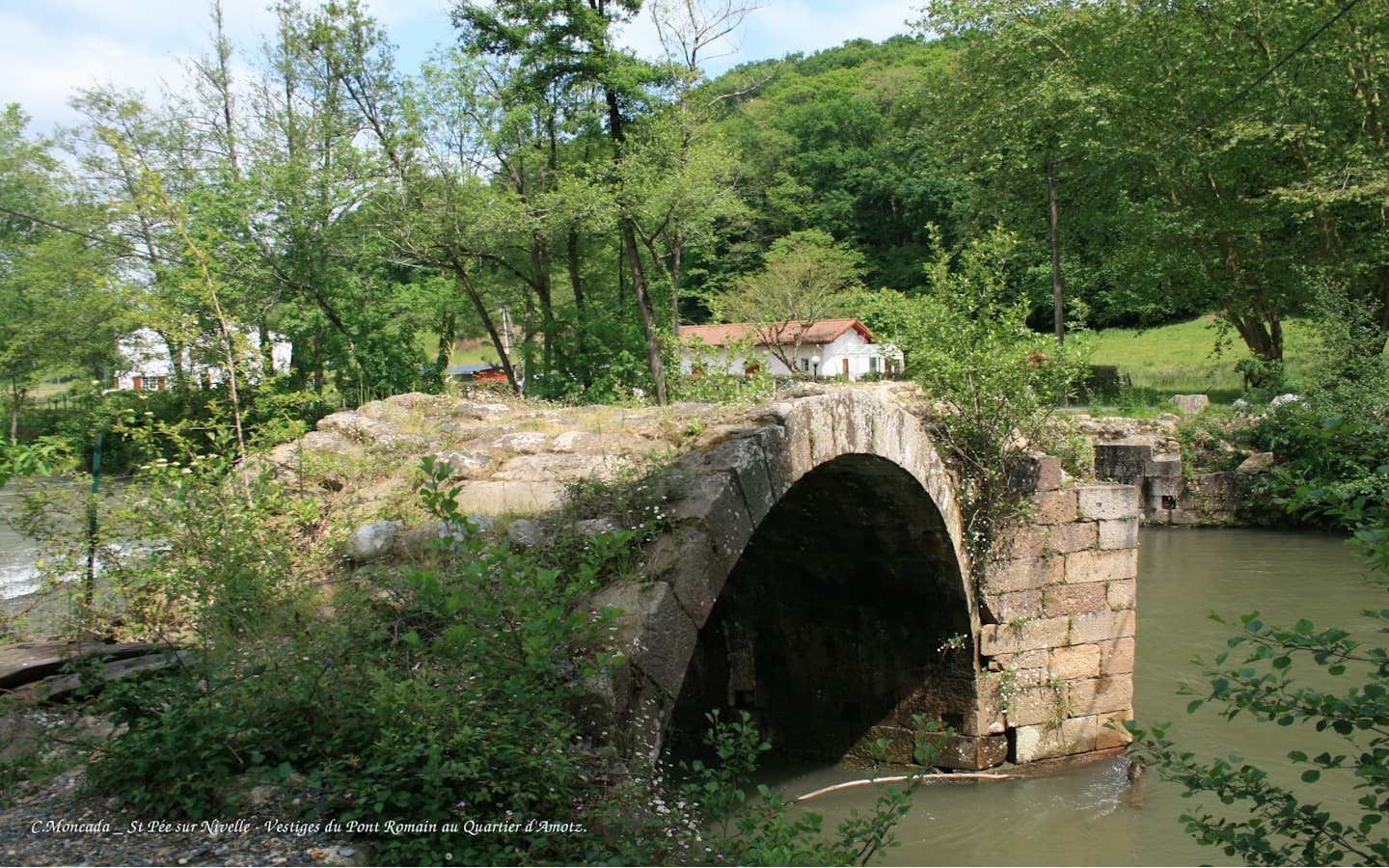Pont-Amotz
