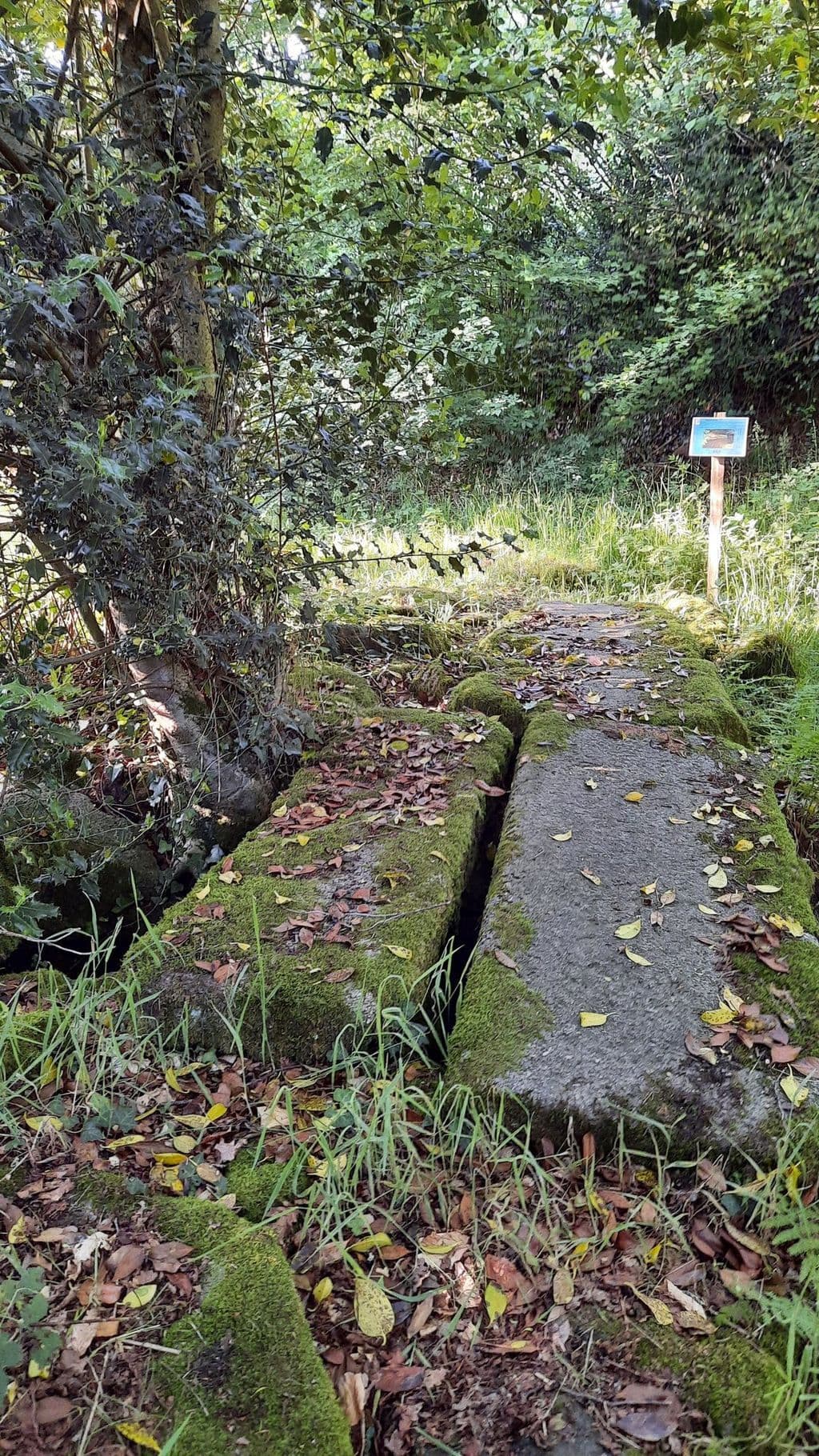 Pont Planche