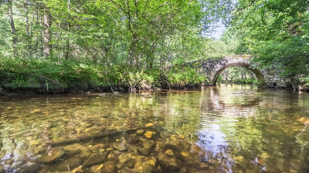 Pont de Varieras_2