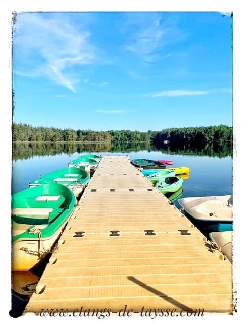 Ponton