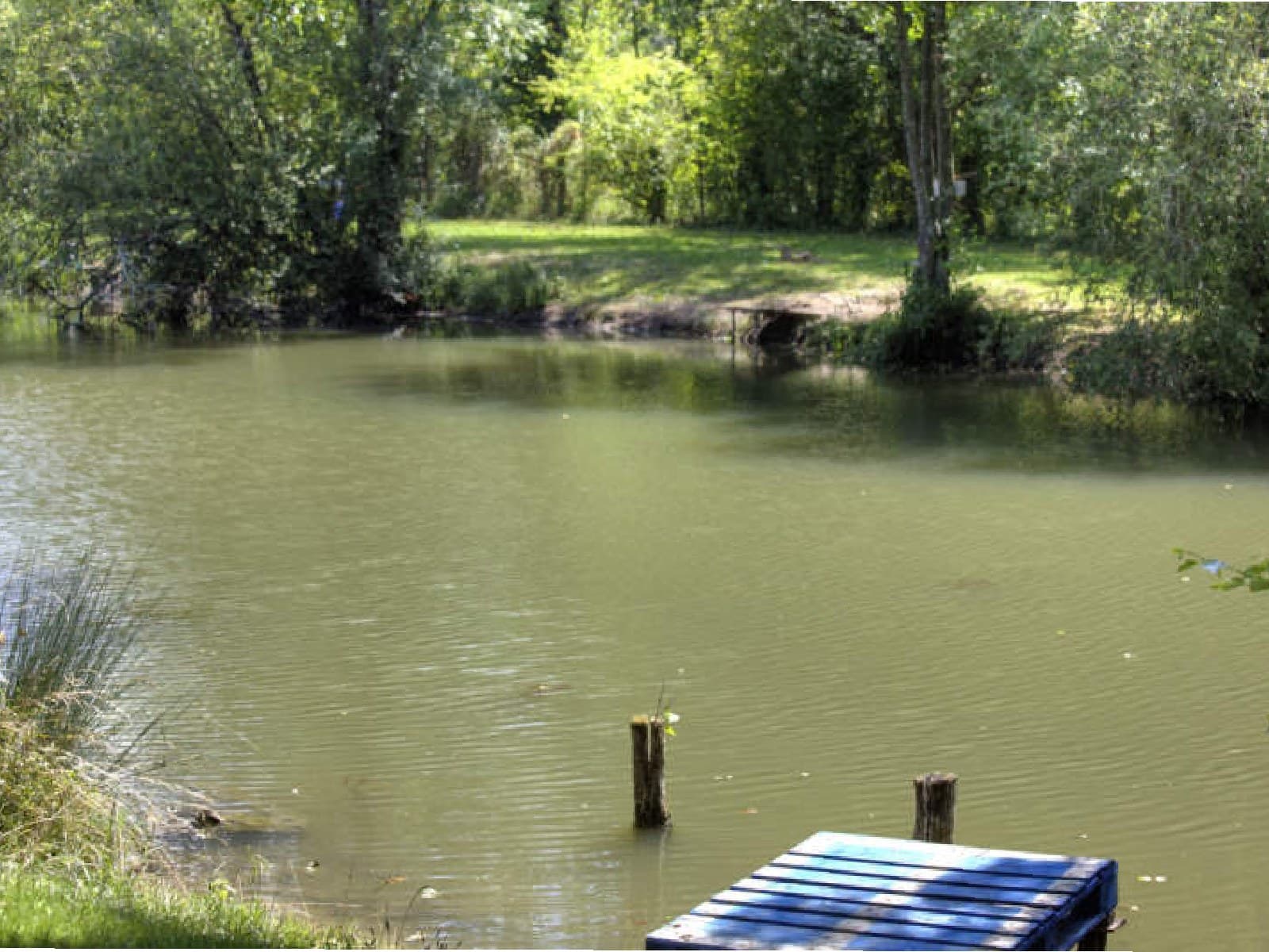 Ponton pêche