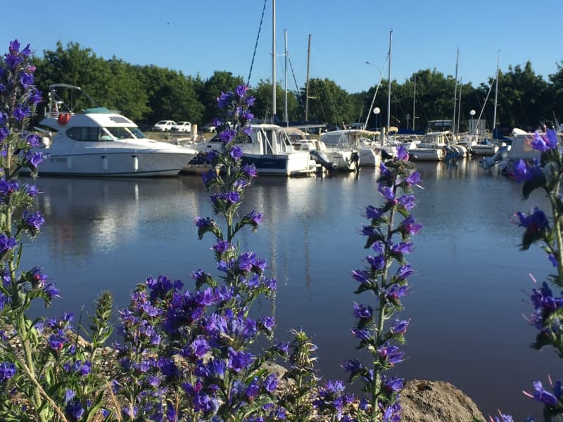 Port du Teich -