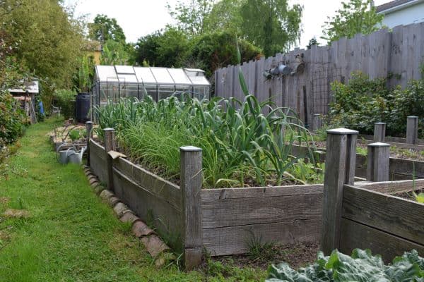 Rectangles potagers