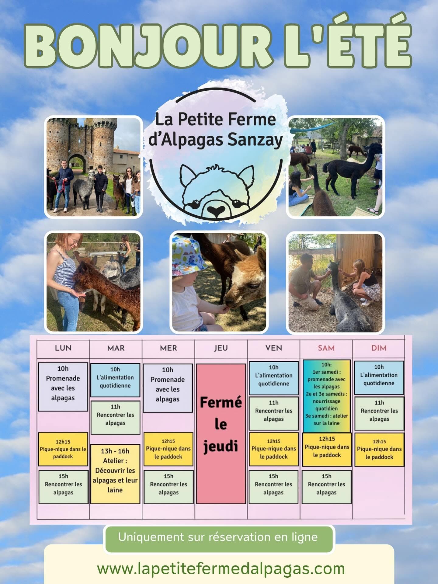Programme alpagas été 2026