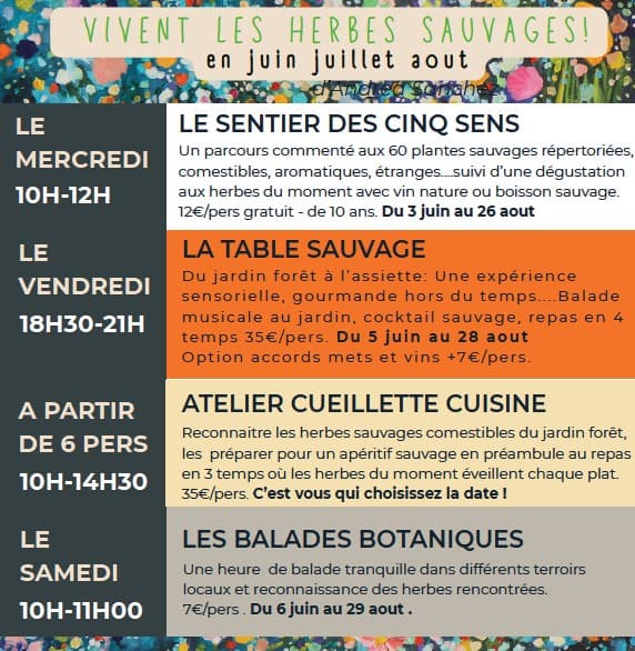 Programme été Vivent les herbes sauvages