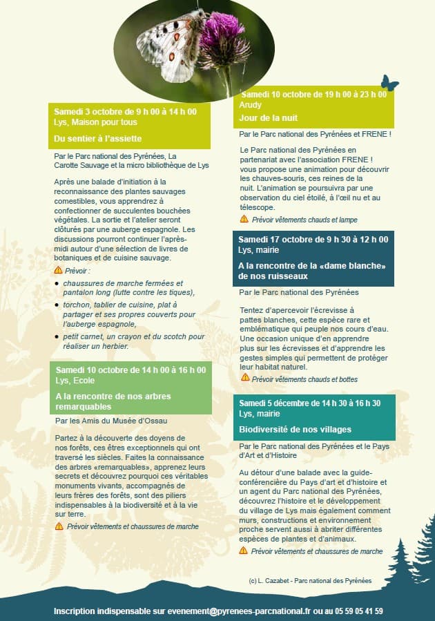 Programme octobre à décembre