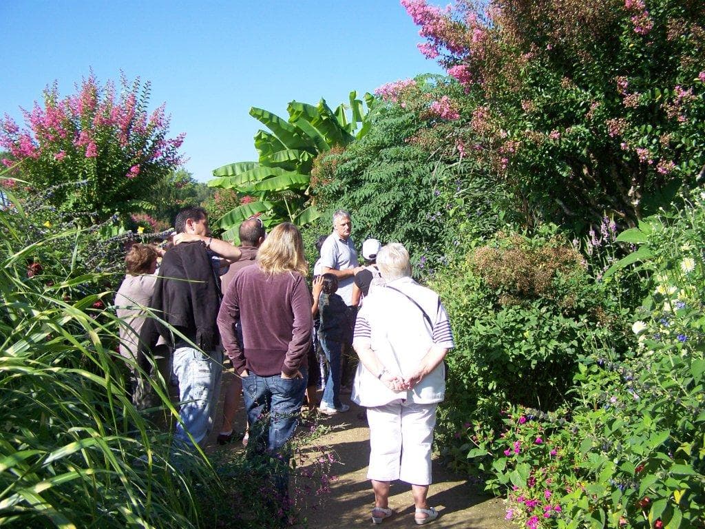 Promenade fleurie 1