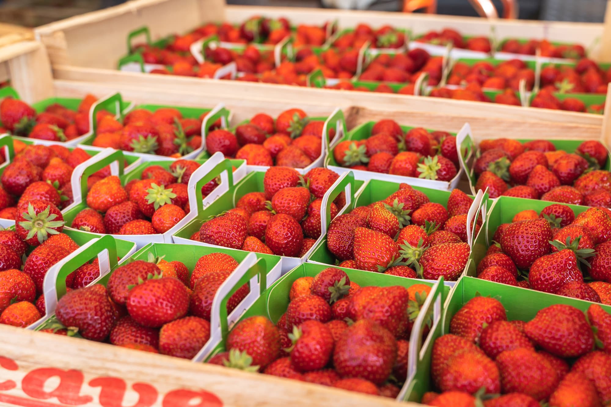 Marché de Quintaou Anglet