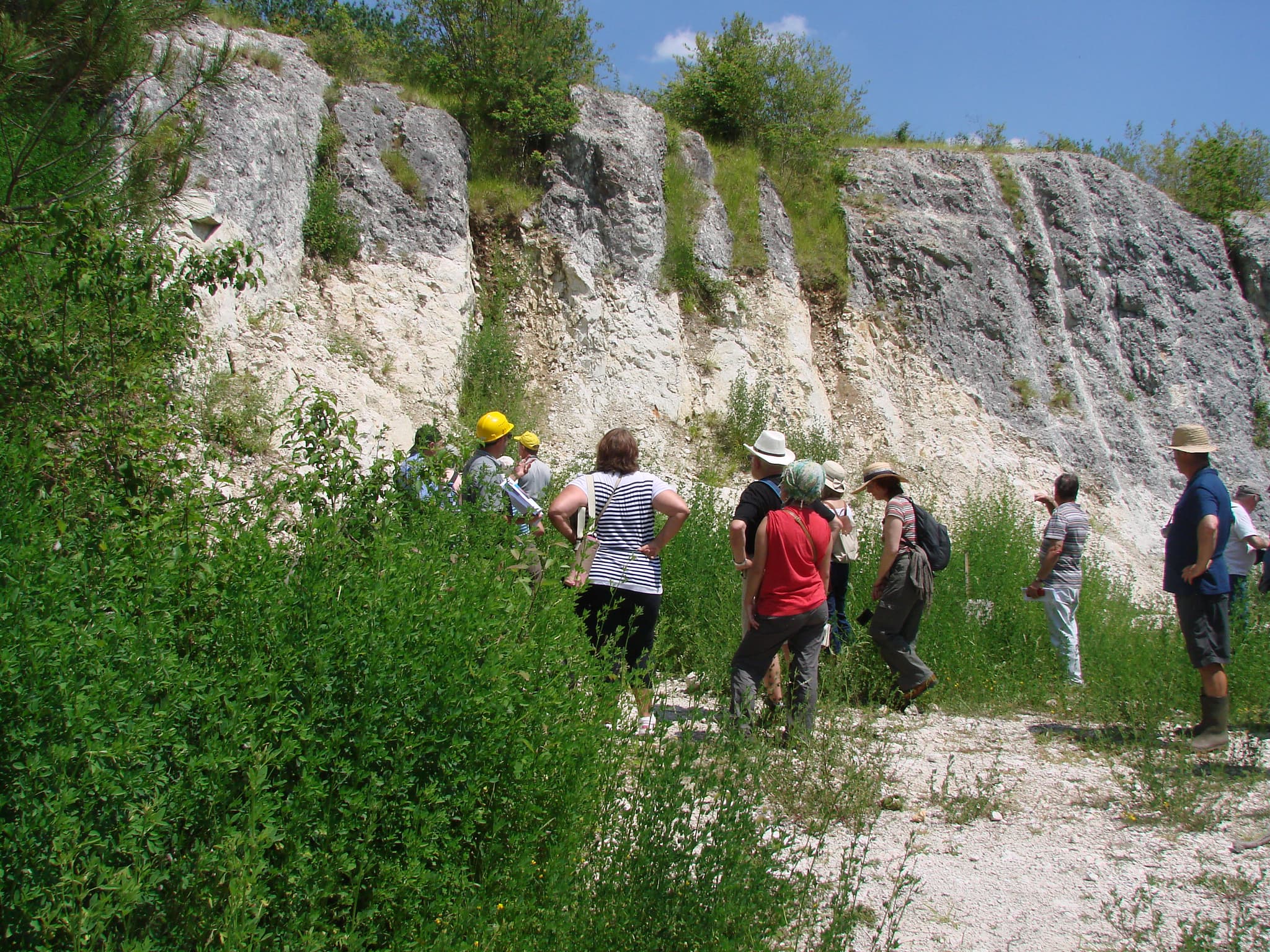 RNRgTercis (1)