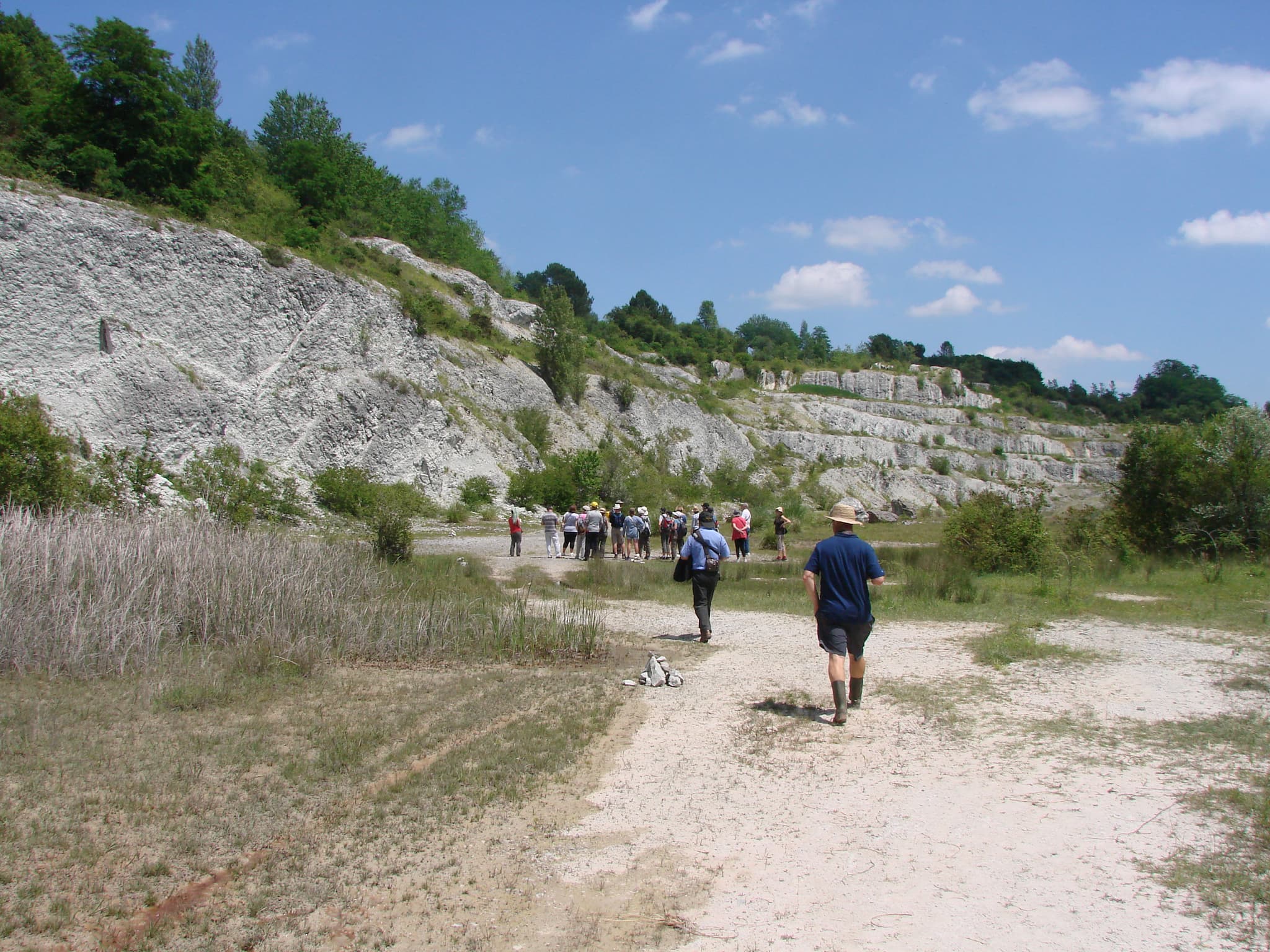 RNRgTercis (2)
