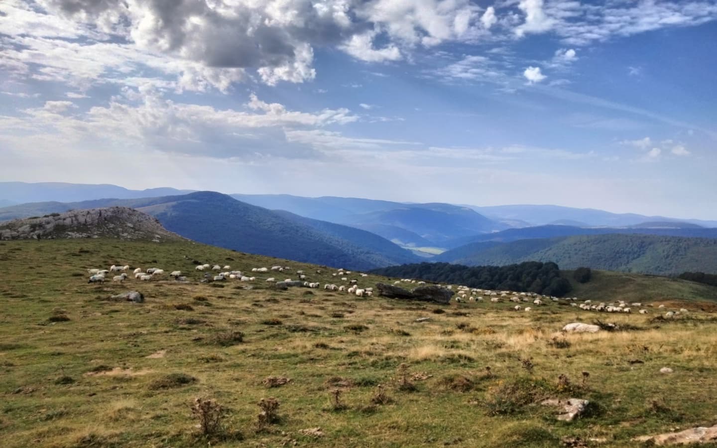 Rando -bergere Irati