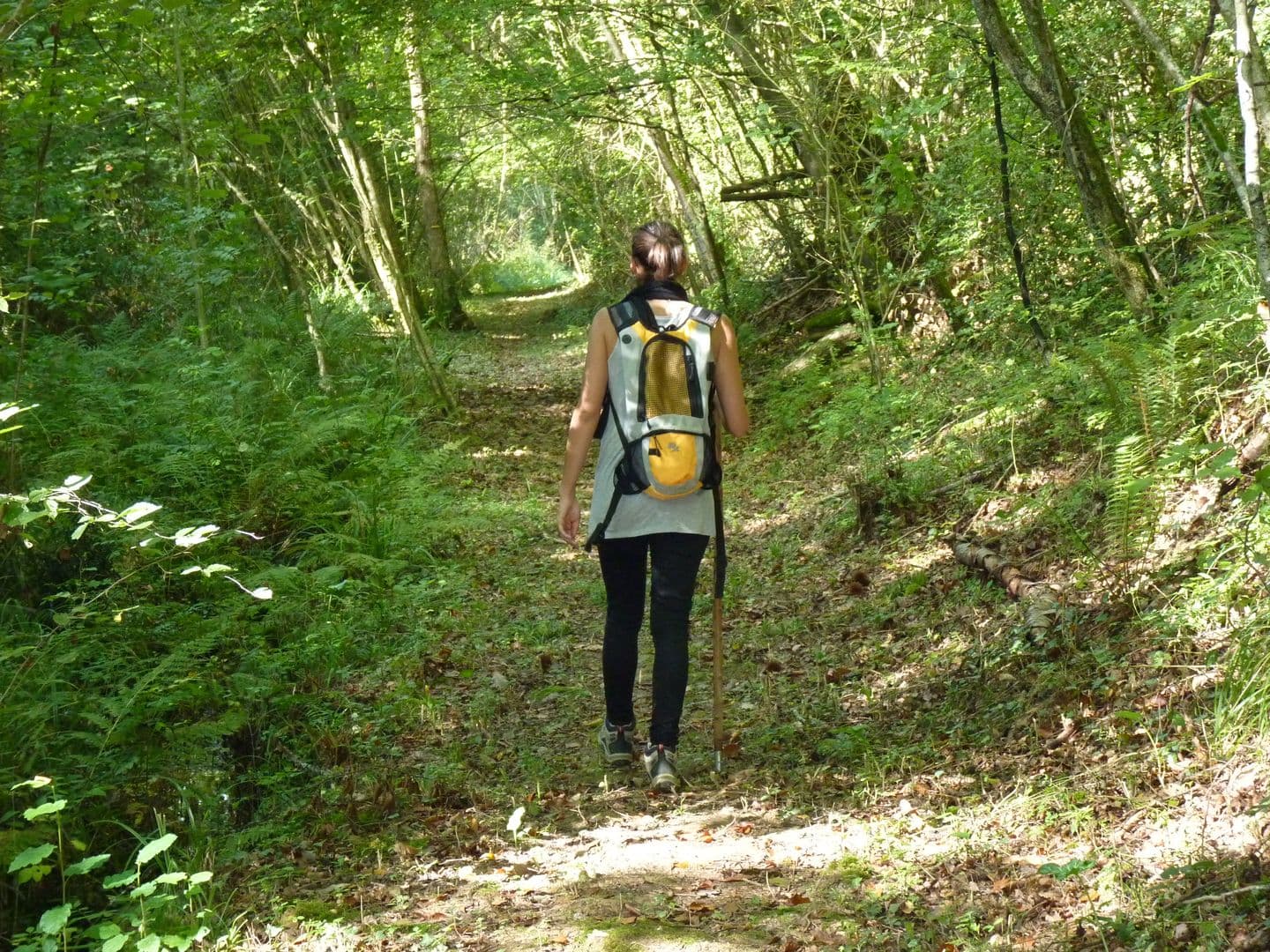 Randonnée sentier fontaines Moncaup