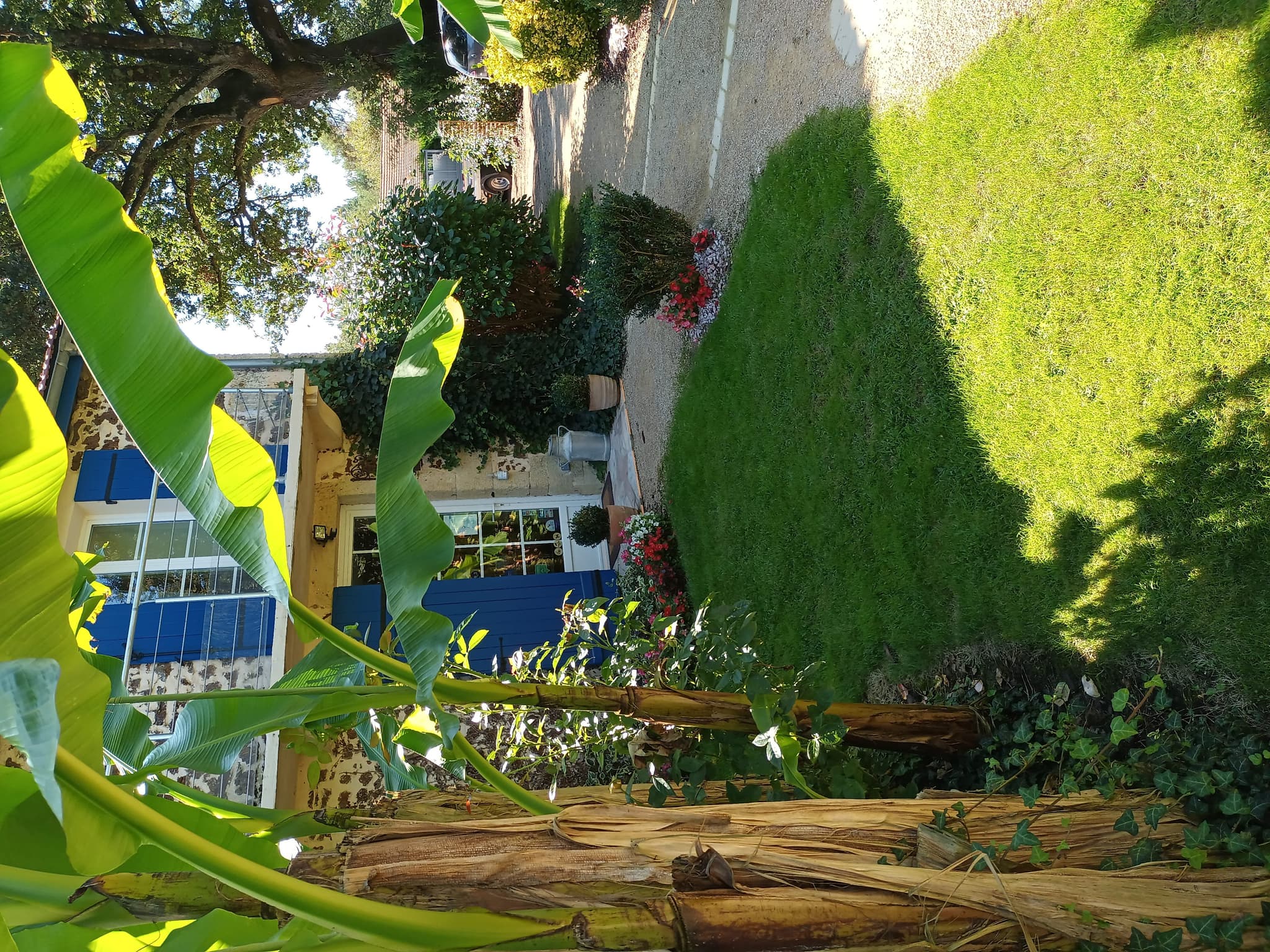 Ratie maison h 1