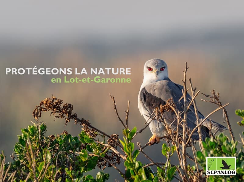 Réserve Naturelle de la Mazière 1