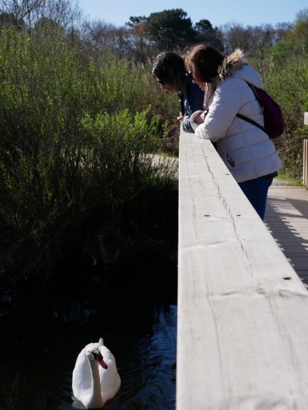Reserve Ornithologique (1) redi