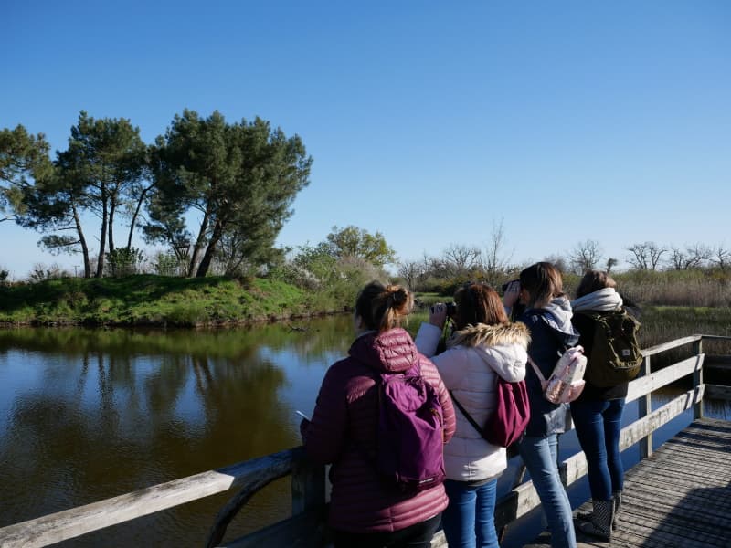 Reserve Ornithologique (16)