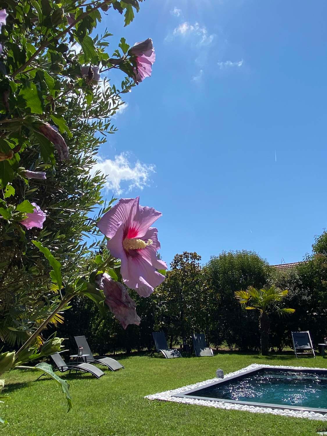 Rêveries en Périgord14