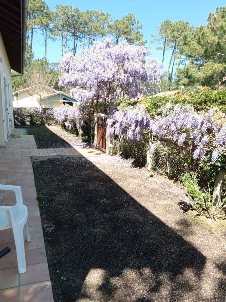 Maison Rius_Messanges_Landes Atlantique Sud