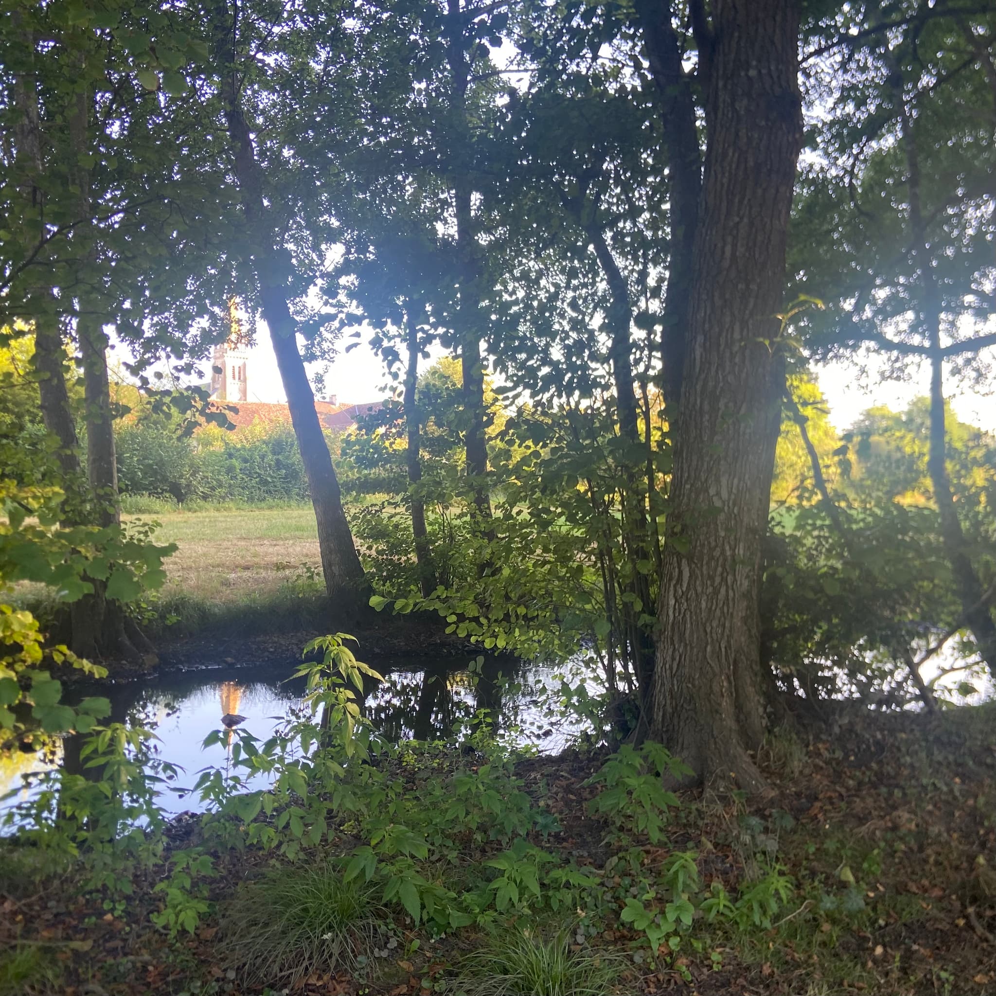Rivière