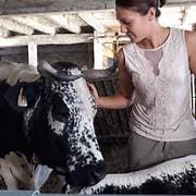Ferme de Rosalie_1
