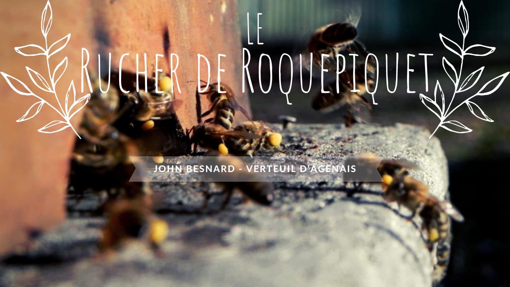 Rucher de Roquepiquet