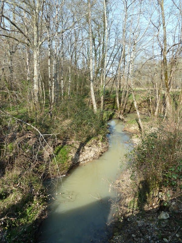 Le ruisseau Le Courbarieu