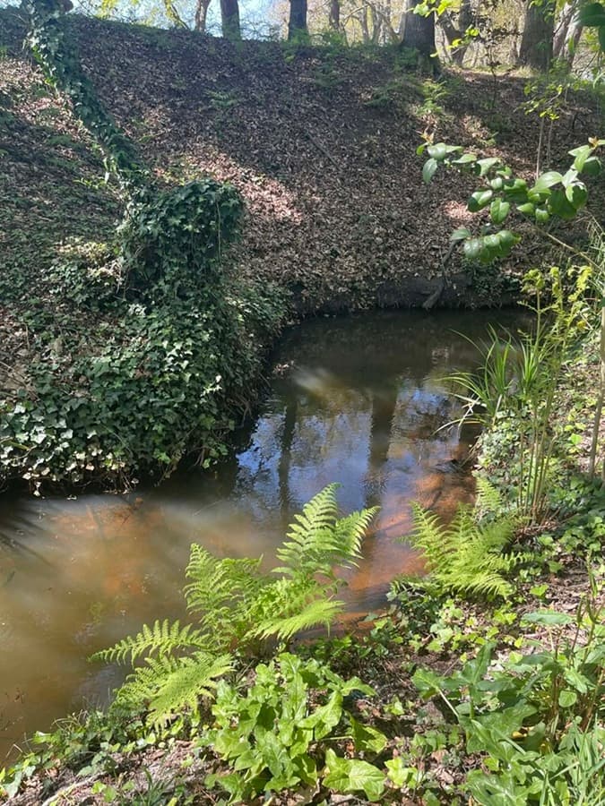 Ruisseau du Bétey Aline