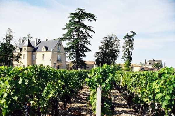 Château La Haye 9