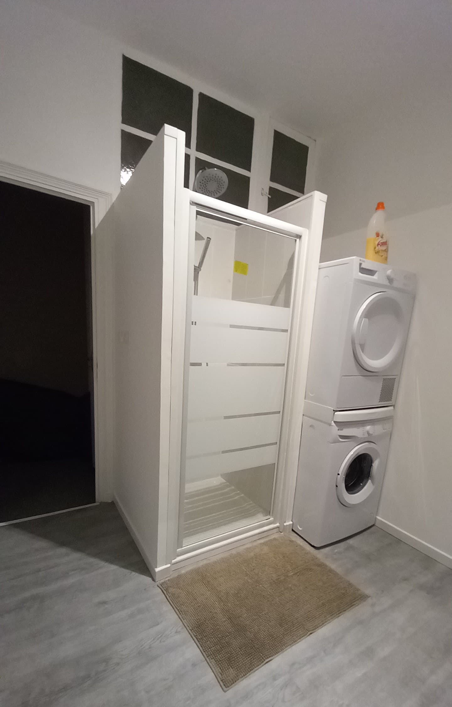 SALLE D'EAU composée lave-linge, séche-linge, douche, tapis de sol