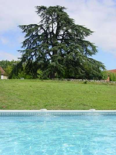 SARL_FONTBRUNE_LAJARRETIE_Piscine_8-2