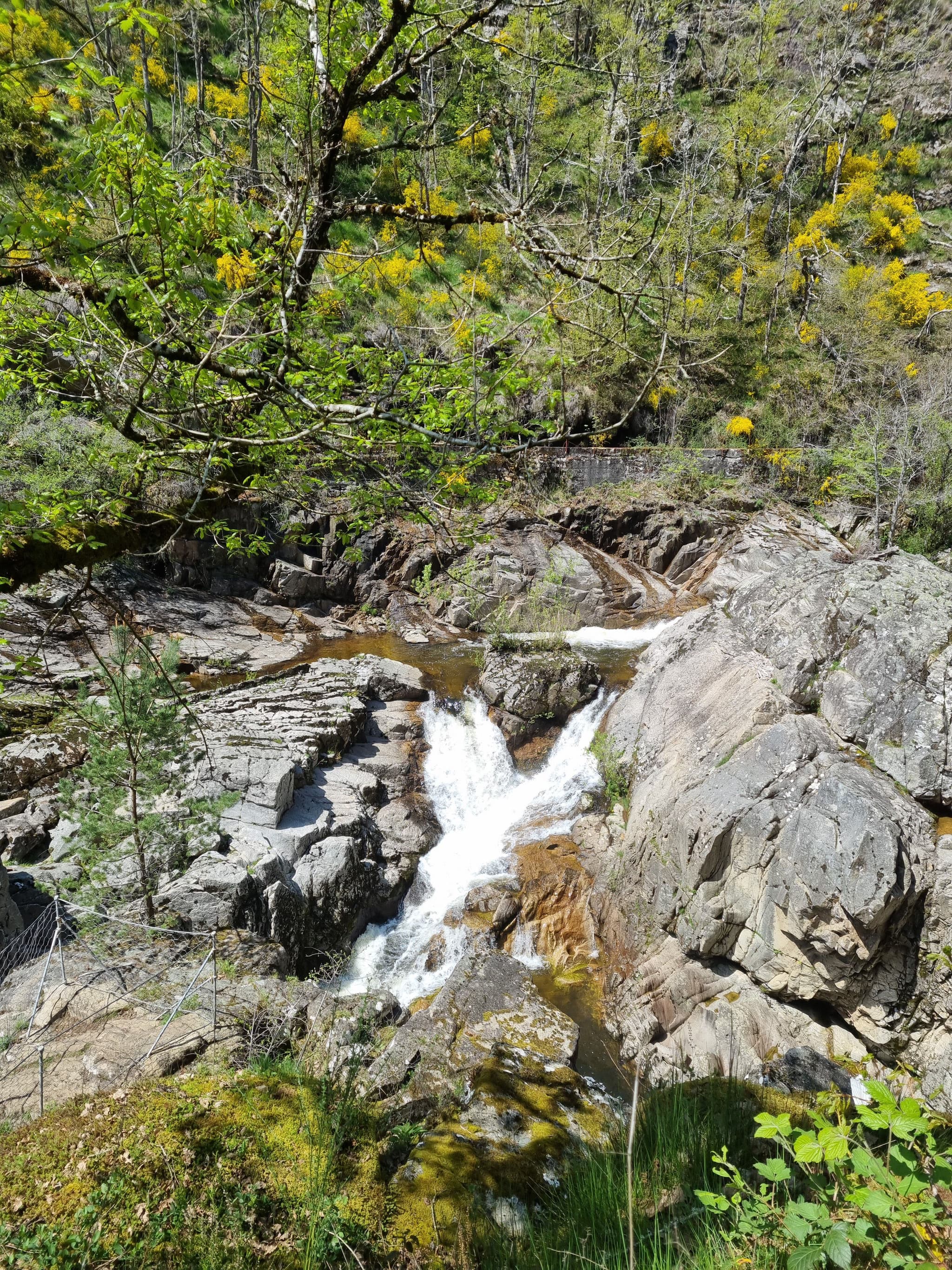 SAUT-DE-LA-SAULEok