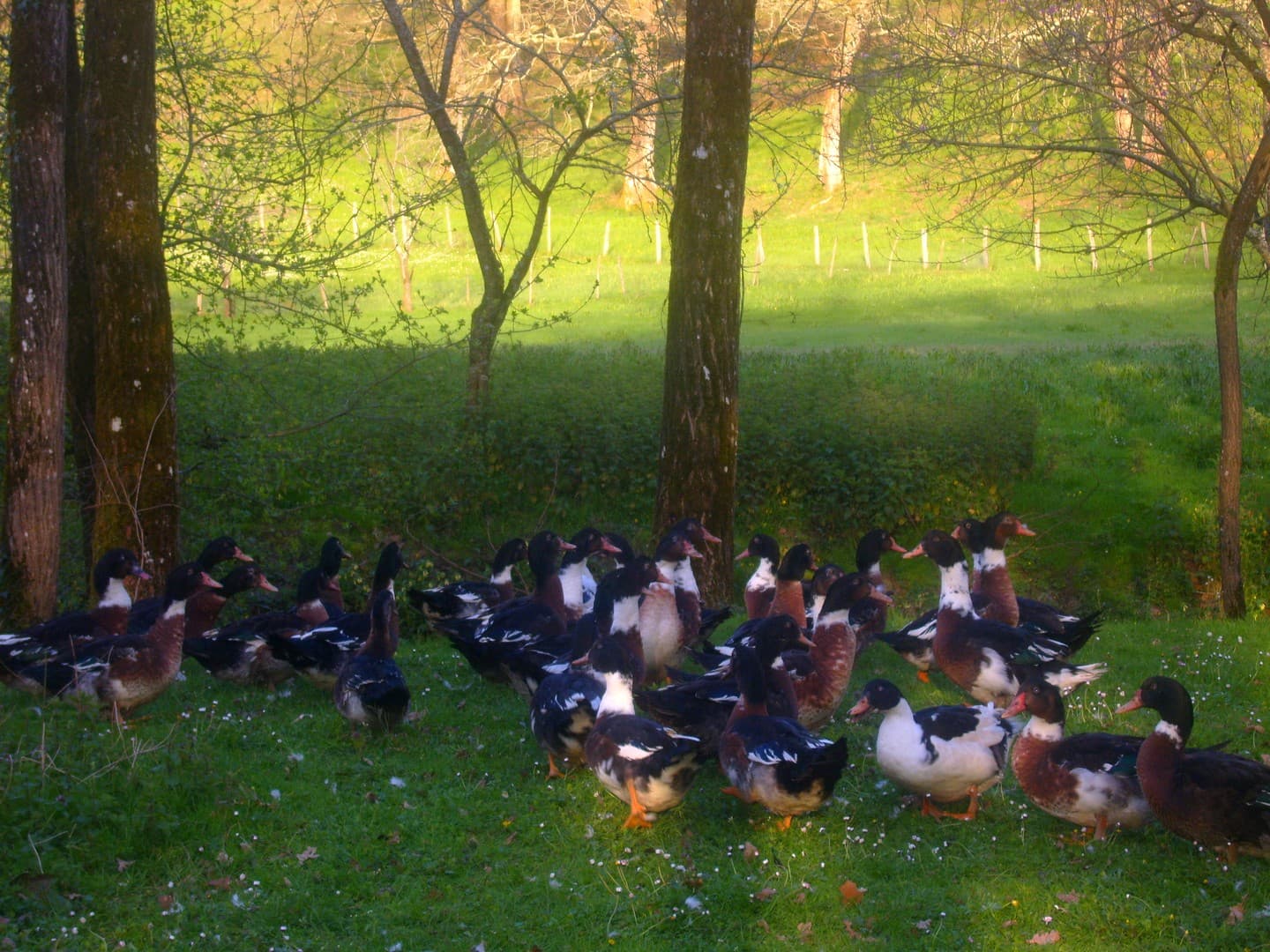 Ferme Moulinaou