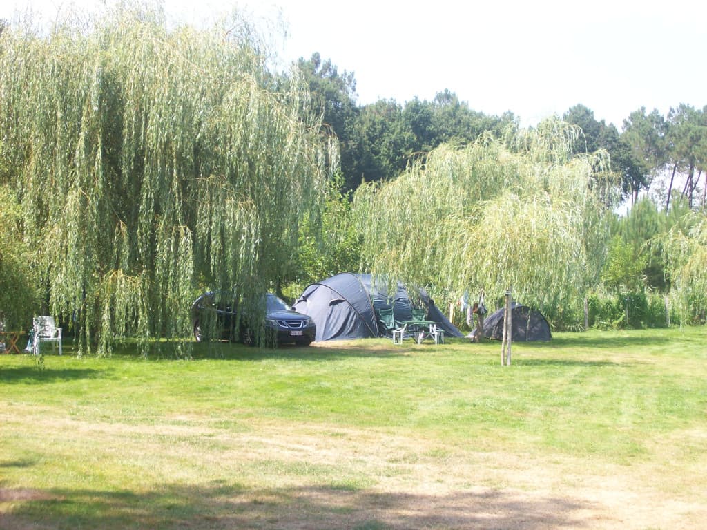 STJU-PioudePelle-3-2