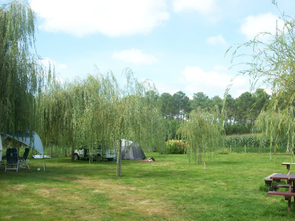 STJU-PioudePelle-7