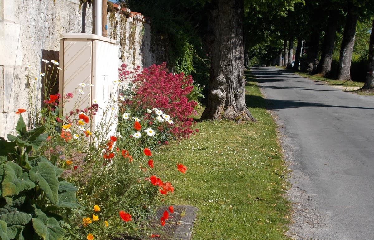 Périgord Inattendu - Village Fleuri Saint-Paul Lizonne