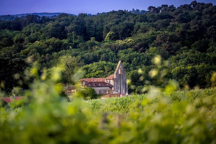 Saint-Pierre-De-Buzet