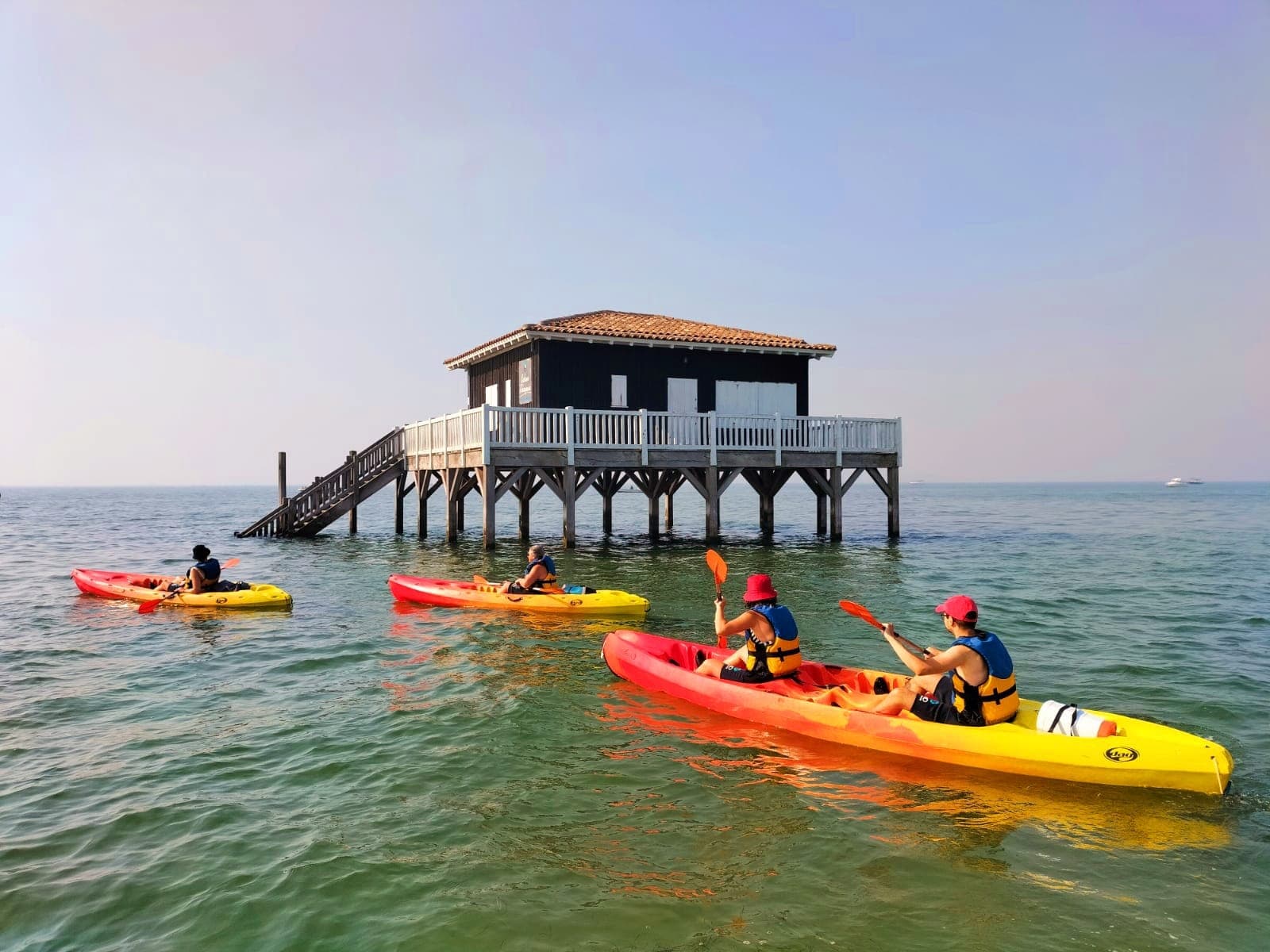 Salsifi Kayak (2)