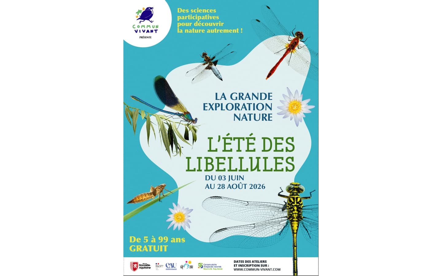 Affiche-ete-Libellules-FINAL-2026-4-WEB-01