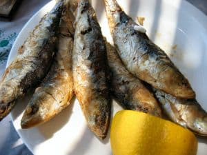 Sardinade-st-sauveur-lalande-vallee-isle-perigord