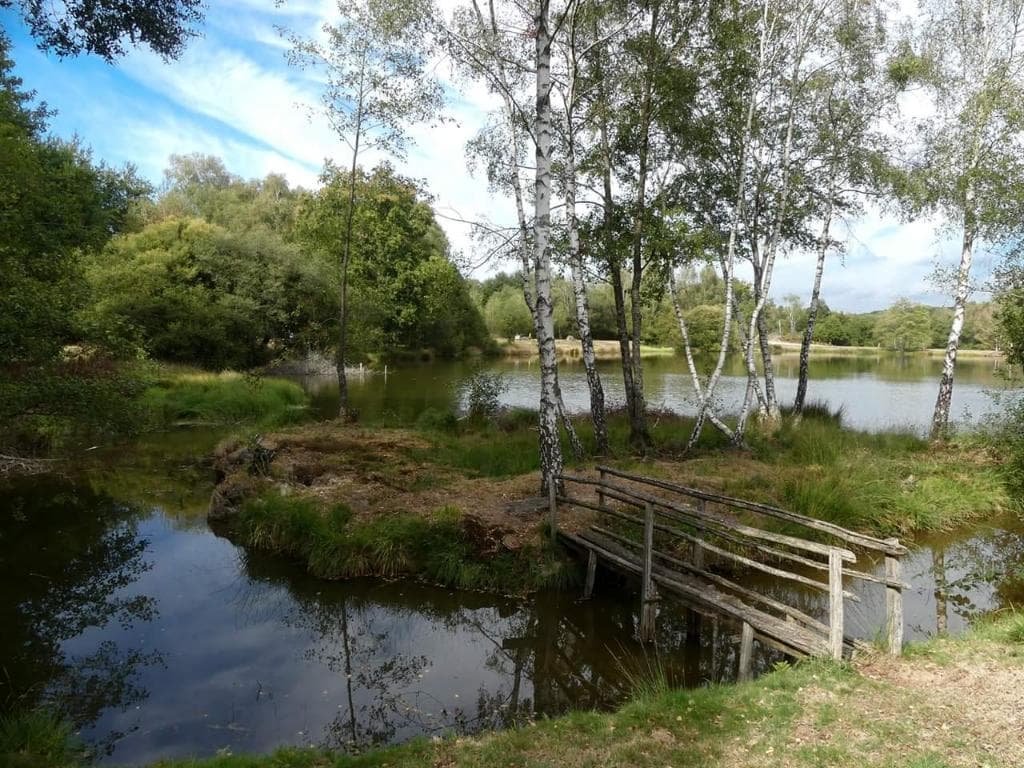Tèrra Avenura du bruit dans les bruyères