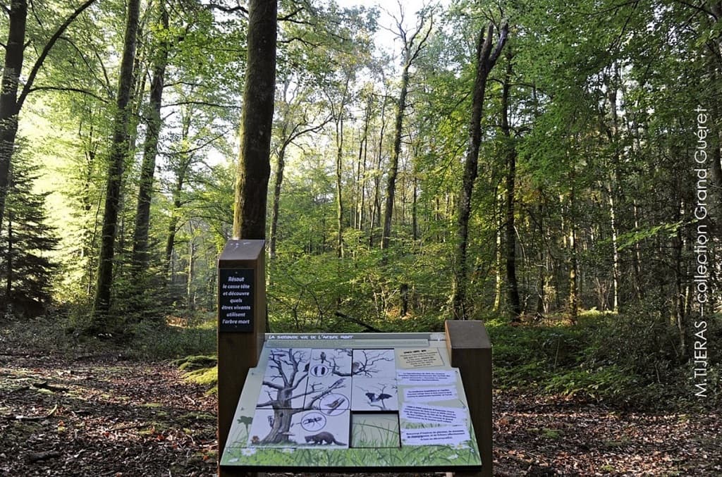 Sentier découverte 2