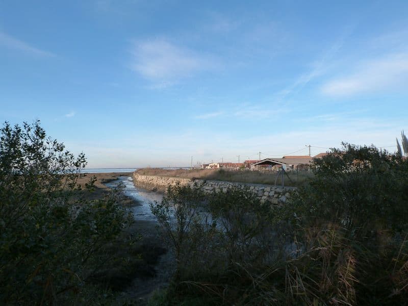 Sentier du littoral (1) [800x600]