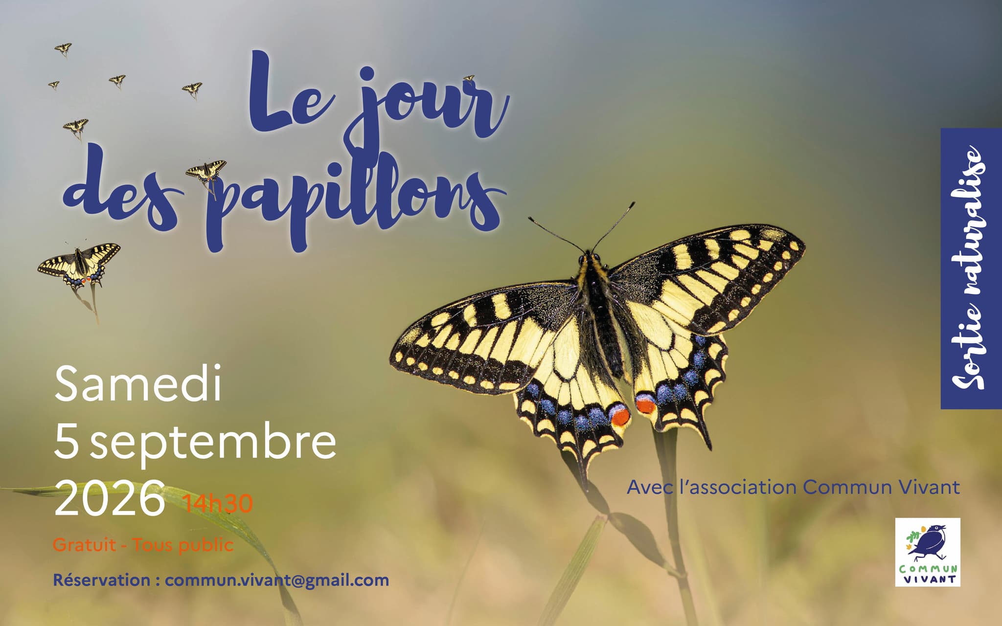 Site_internet_Le_jour_des_papillons