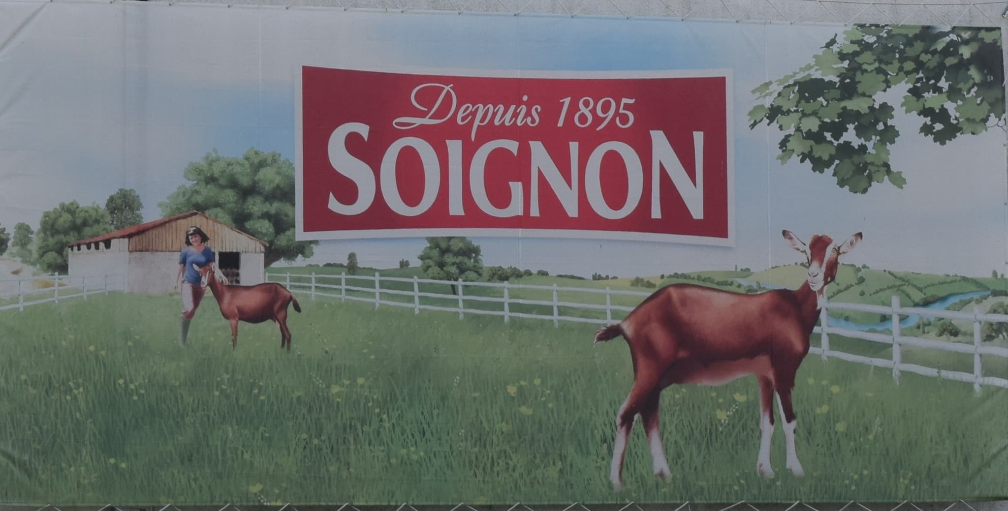 Soignon2