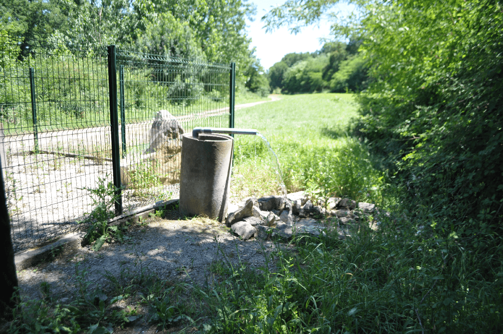 Source du Buccuron - forage