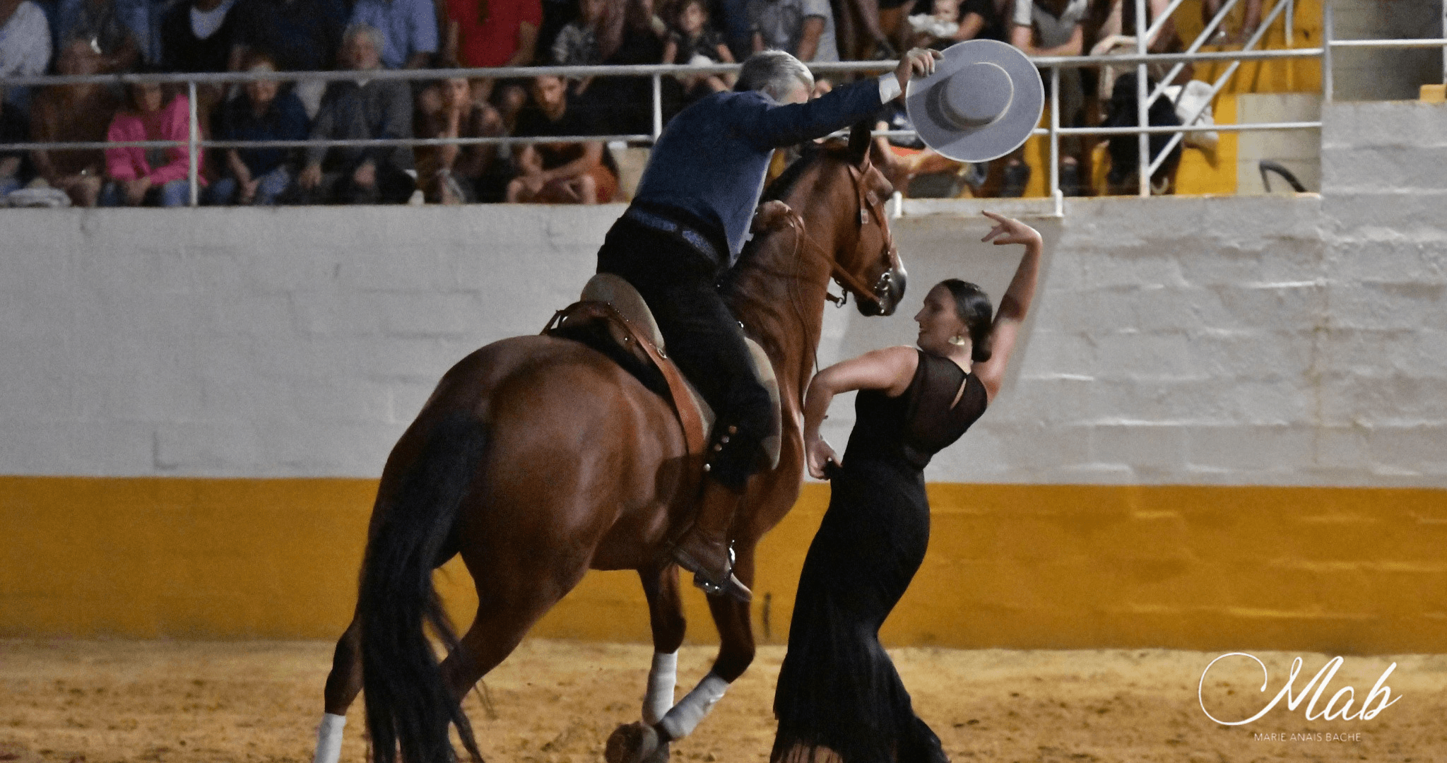 Spectacle El Campo