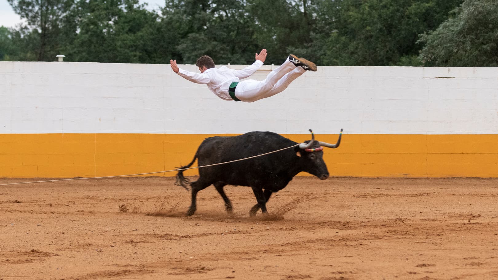 Spectacle El Campo sauteur