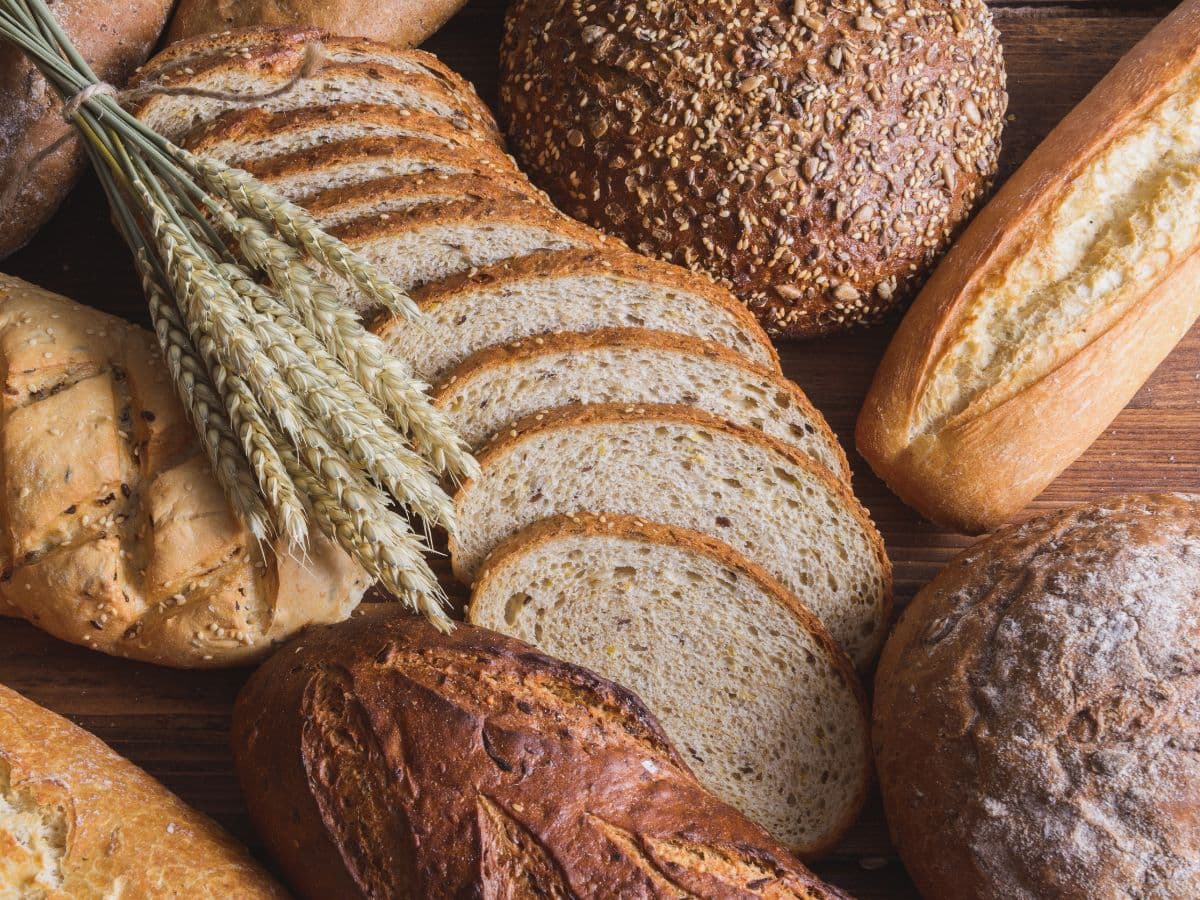 Boulangerie Pâtisserie Gallas - Châlus