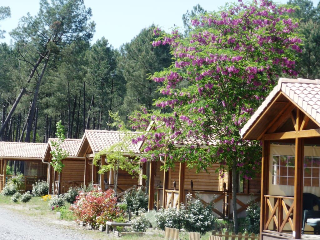 St-Michel-Escalus-Landes-Oceanes-chalet
